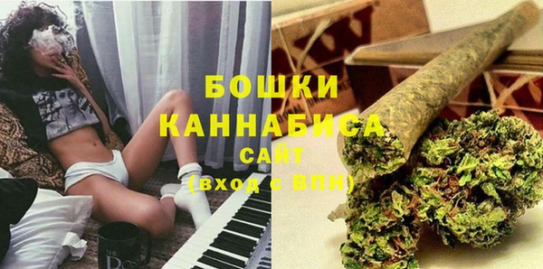 МДПВ Каменка