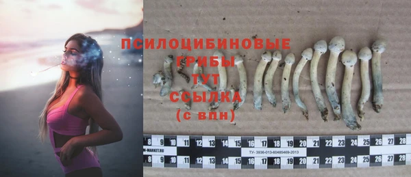 mix Инсар