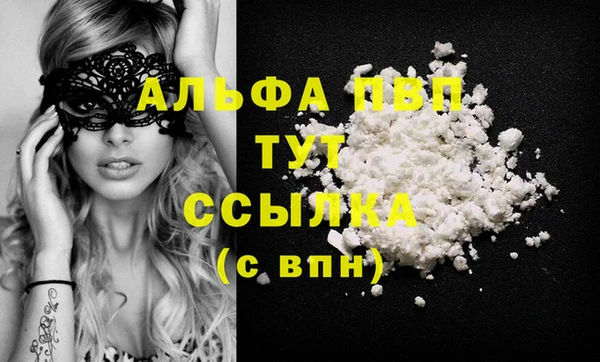 МДПВ Каменка