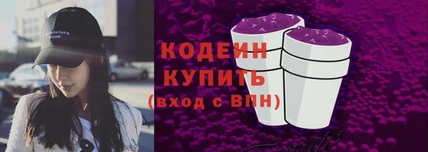 МДПВ Каменка