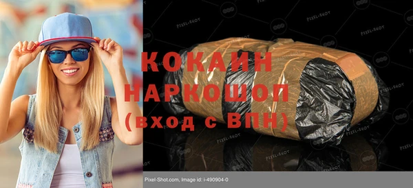 МДПВ Каменка